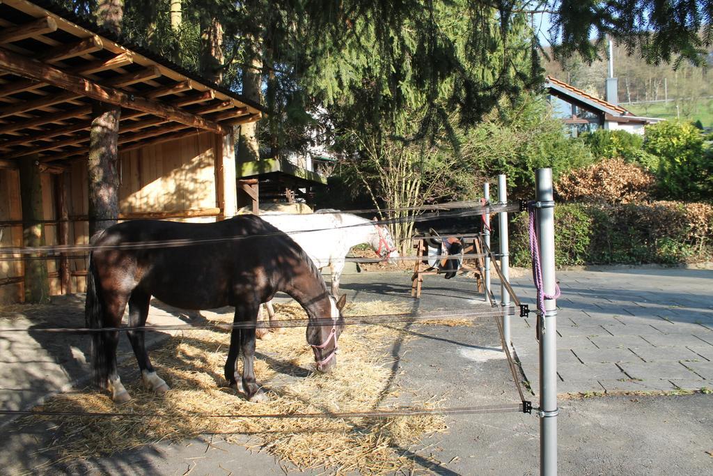 Ferienhaus "Kleiner Onkel" Honerath Exterior foto